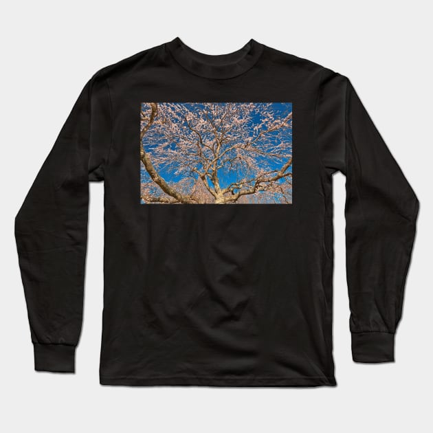 Cherry Blossom Tree Long Sleeve T-Shirt by somadjinn